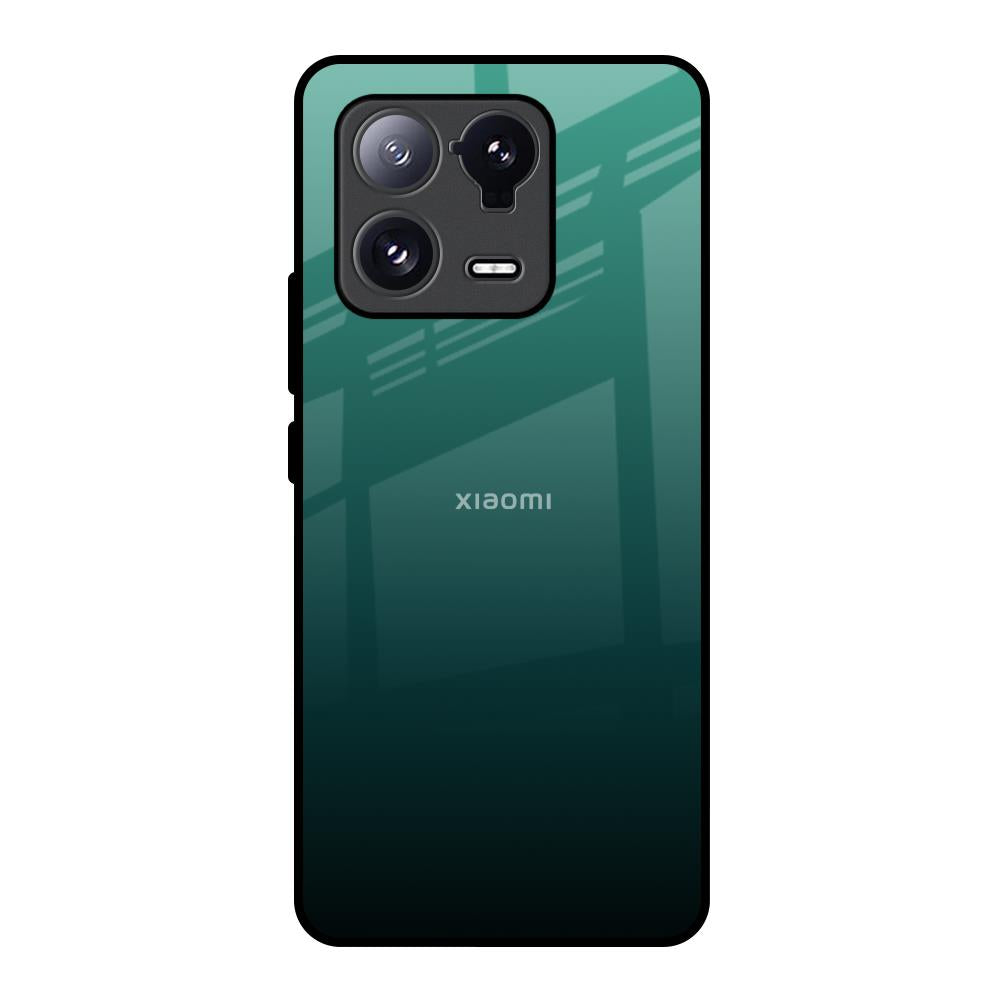 Palm Green Mi 13 Pro Glass Back Cover Online