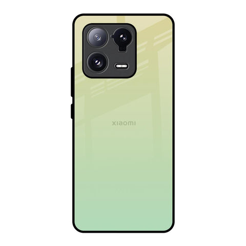 Mint Green Gradient Mi 13 Pro Glass Back Cover Online