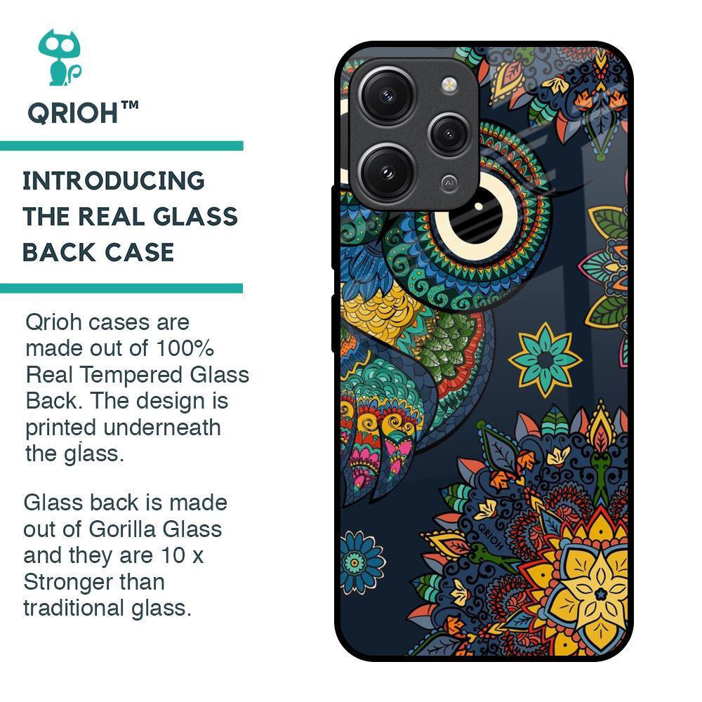 Owl Art Glass Case for Redmi 12