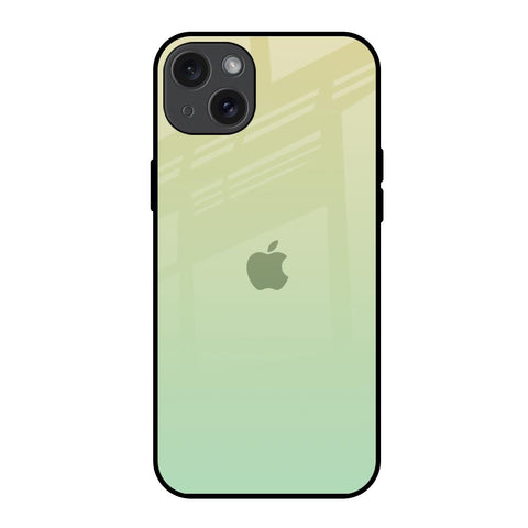 Mint Green Gradient iPhone 15 Plus Glass Back Cover Online