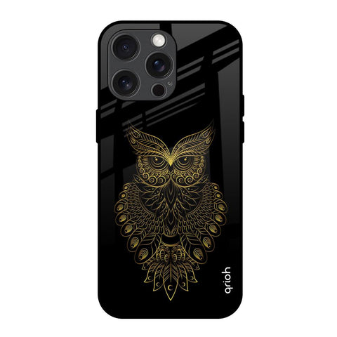 Golden Owl iPhone 15 Pro Max Glass Back Cover Online