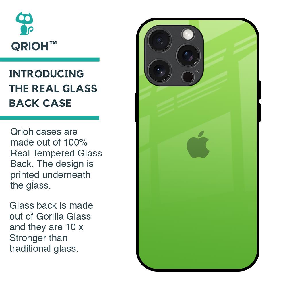 Paradise Green Glass Case For iPhone 15 Pro Max