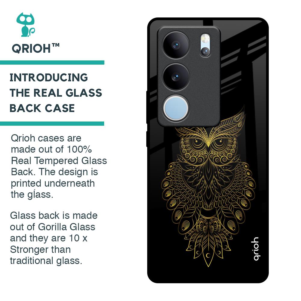 Golden Owl Glass Case for Vivo V29 Pro 5G