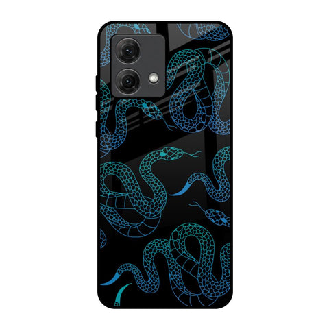 Serpentine Motorola G84 5G Glass Back Cover Online