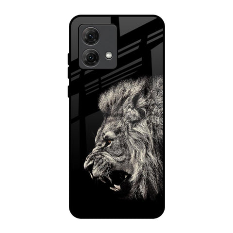 Brave Lion Motorola G84 5G Glass Back Cover Online