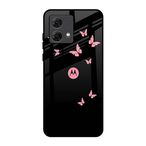 Fly Butterfly Motorola G84 5G Glass Back Cover Online