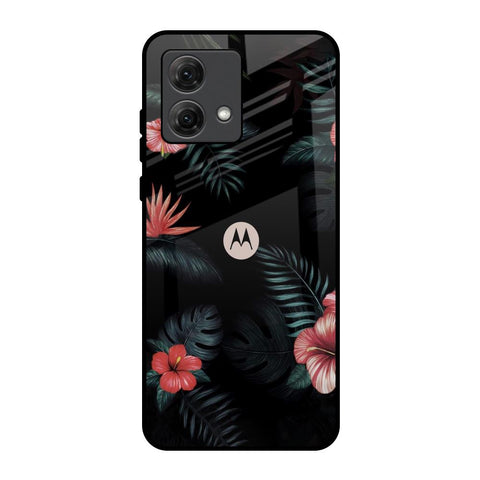 Tropical Art Flower Motorola G84 5G Glass Back Cover Online