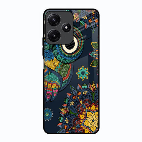 Owl Art Poco M6 Pro 5G Glass Back Cover Online