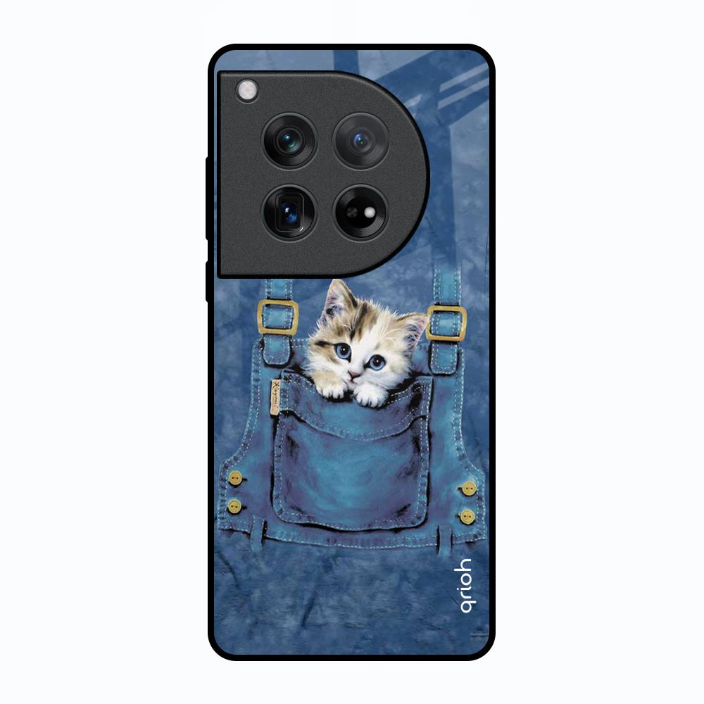 Kitty In Pocket Oneplus 12 Glass Back Cover Online