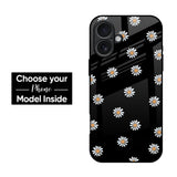 Black Velvet Glass Case