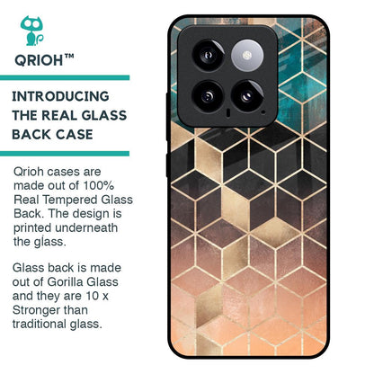 Bronze Texture Glass Case for Mi 14
