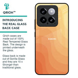 Orange Curve Pattern Glass Case for Mi 14