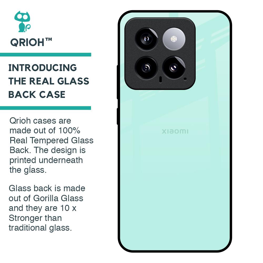 Teal Glass Case for Mi 14