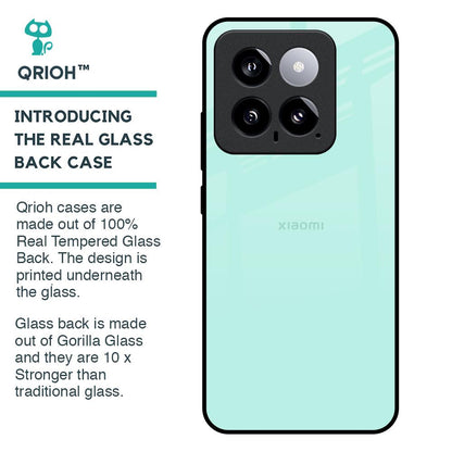 Teal Glass Case for Mi 14