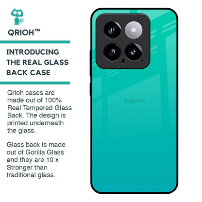 Cuba Blue Glass Case For Mi 14