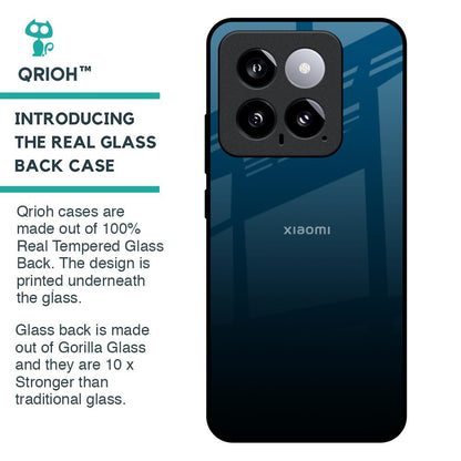 Sailor Blue Glass Case For Mi 14