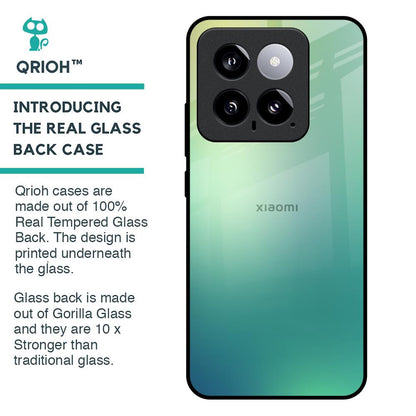 Dusty Green Glass Case for Mi 14