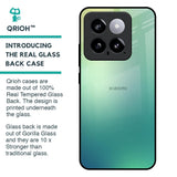 Dusty Green Glass Case for Mi 14