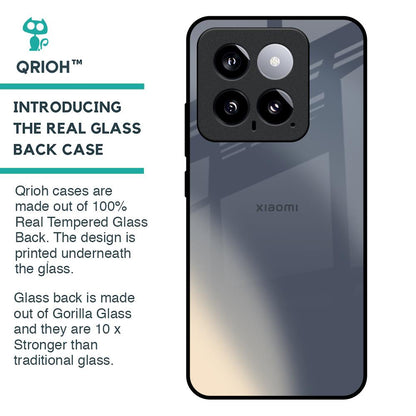 Metallic Gradient Glass Case for Mi 14