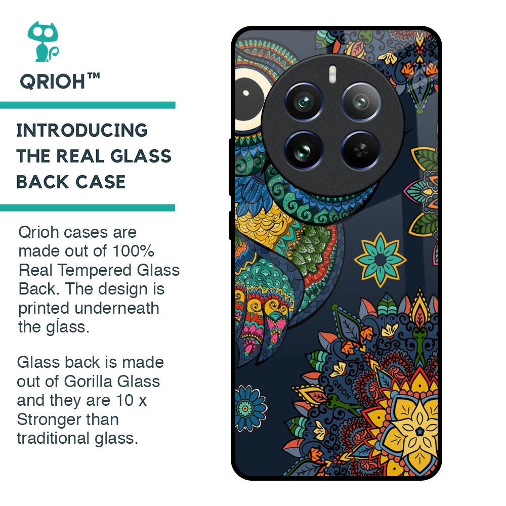 Owl Art Glass Case for Realme 12 Pro Plus 5G