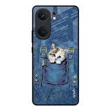 Kitty In Pocket IQOO Neo 9 Pro Glass Back Cover Online