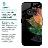 Colorful Leaves Glass Case for Nothing Phone 2a 5G