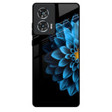 Half Blue Flower Motorola Edge 50 Fusion 5G Glass Back Cover Online