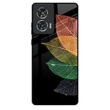 Colorful Leaves Motorola Edge 50 Fusion 5G Glass Back Cover Online