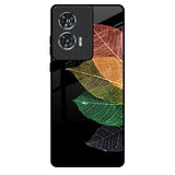 Colorful Leaves Motorola Edge 50 Fusion 5G Glass Back Cover Online