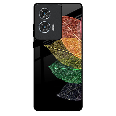 Colorful Leaves Motorola Edge 50 Fusion 5G Glass Back Cover Online