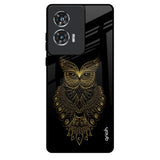 Golden Owl Motorola Edge 50 Fusion 5G Glass Back Cover Online