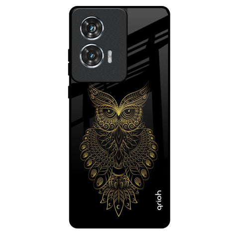 Golden Owl Motorola Edge 50 Fusion 5G Glass Back Cover Online