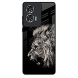 Brave Lion Motorola Edge 50 Fusion 5G Glass Back Cover Online