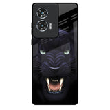 Angry Black Tiger Motorola Edge 50 Fusion 5G Glass Back Cover Online