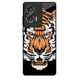 Angry Tiger Motorola Edge 50 Fusion 5G Glass Back Cover Online