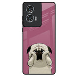 Funny Pug Face Motorola Edge 50 Fusion 5G Glass Back Cover Online