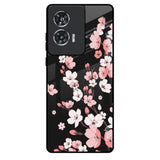 Black Cherry Blossom Motorola Edge 50 Fusion 5G Glass Back Cover Online
