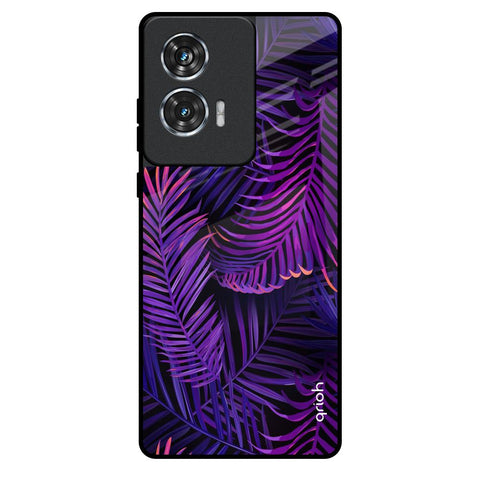Plush Nature Motorola Edge 50 Fusion 5G Glass Back Cover Online