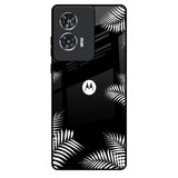 Zealand Fern Design Motorola Edge 50 Fusion 5G Glass Back Cover Online