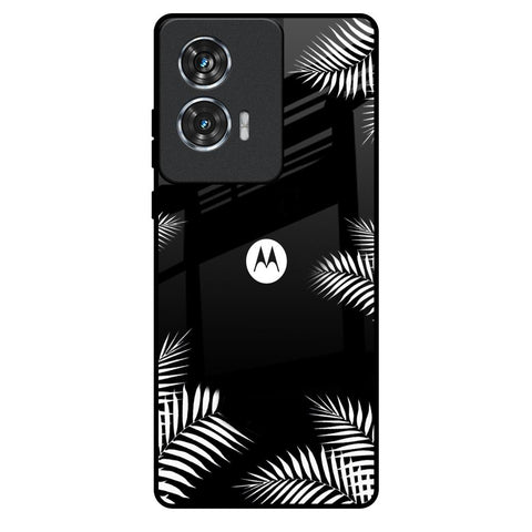 Zealand Fern Design Motorola Edge 50 Fusion 5G Glass Back Cover Online