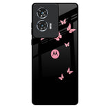 Fly Butterfly Motorola Edge 50 Fusion 5G Glass Back Cover Online