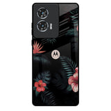 Tropical Art Flower Motorola Edge 50 Fusion 5G Glass Back Cover Online