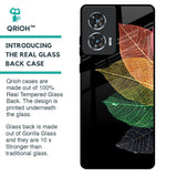 Colorful Leaves Glass Case for Motorola Edge 50 Fusion 5G