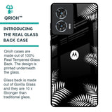 Zealand Fern Design Glass Case For Motorola Edge 50 Fusion 5G