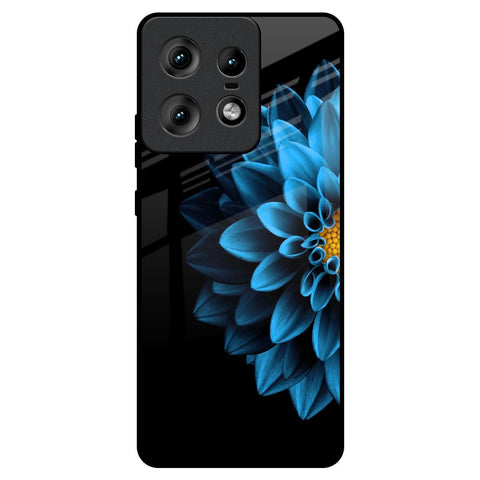 Half Blue Flower Motorola Edge 50 Pro 5G Glass Back Cover Online