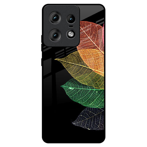 Colorful Leaves Motorola Edge 50 Pro 5G Glass Back Cover Online