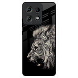 Brave Lion Motorola Edge 50 Pro 5G Glass Back Cover Online