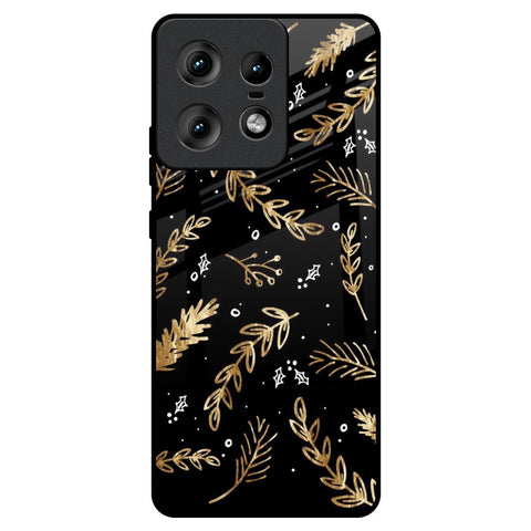 Autumn Leaves Motorola Edge 50 Pro 5G Glass Back Cover Online