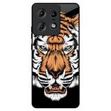 Angry Tiger Motorola Edge 50 Pro 5G Glass Back Cover Online