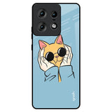 Adorable Cute Kitty Motorola Edge 50 Pro 5G Glass Back Cover Online